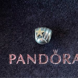 Pandora Charm Shell